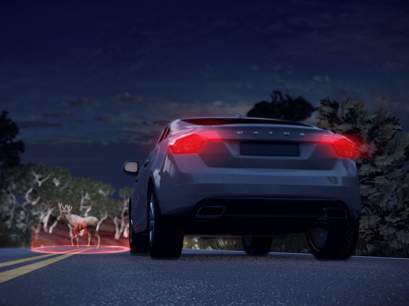 Im Herbst wächst das Risiko von Wildunfällen. (Foto: Volvo)
